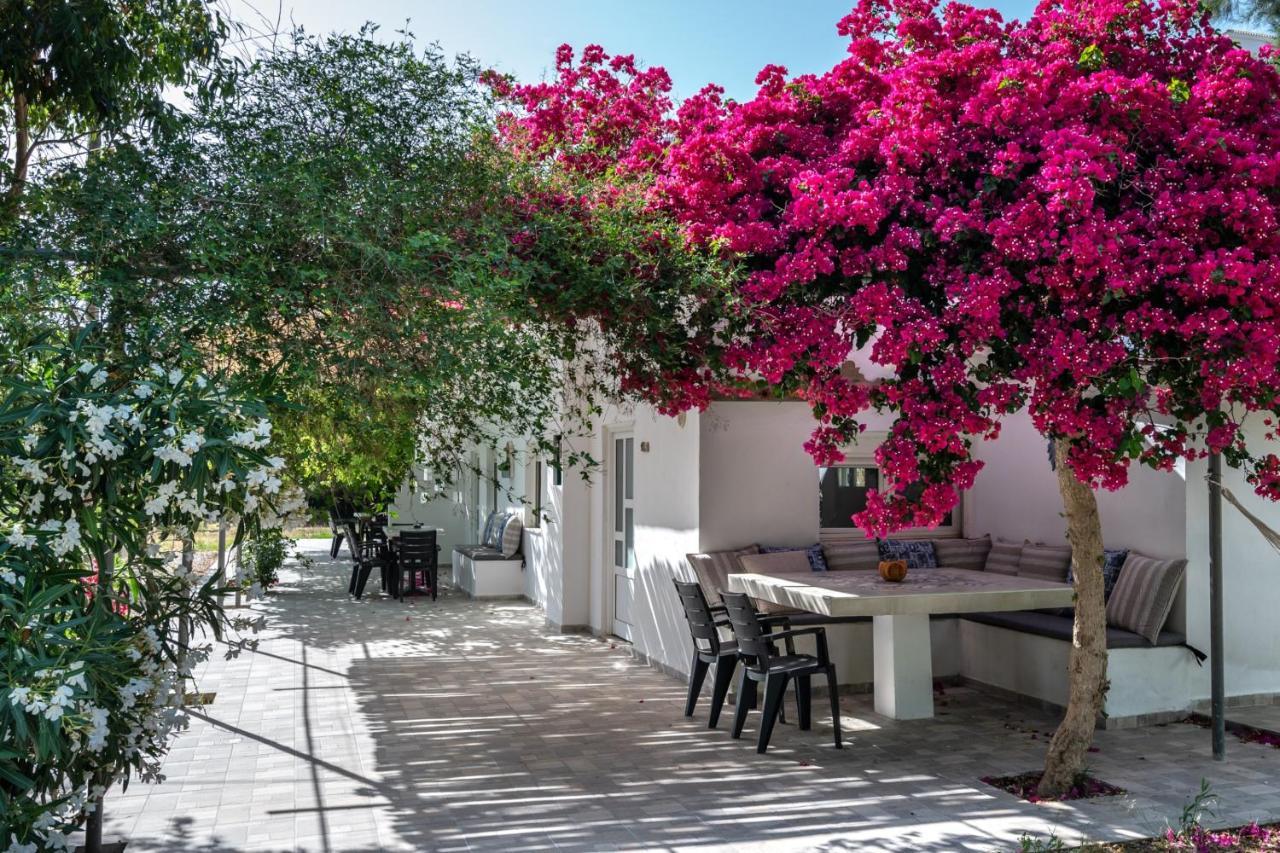 Vrisidia Cottage - Nature, Seaview & Relax Plakias Eksteriør billede